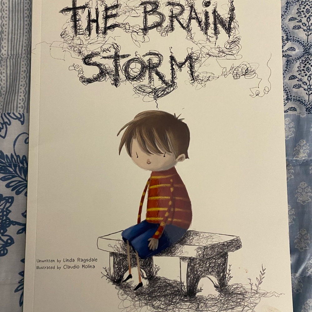 The Brain Storm Illustrated Children's Book